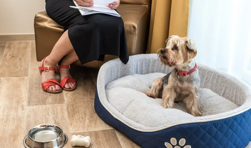 Bonvital Wellness & Gastro Hotel Hvz Hvz - Karcsony a Bonvitalban (min. 3 j)