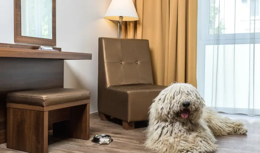 Bonvital Wellness & Gastro Hotel Hvz Hvz - Karcsony a Bonvitalban (min. 3 j)