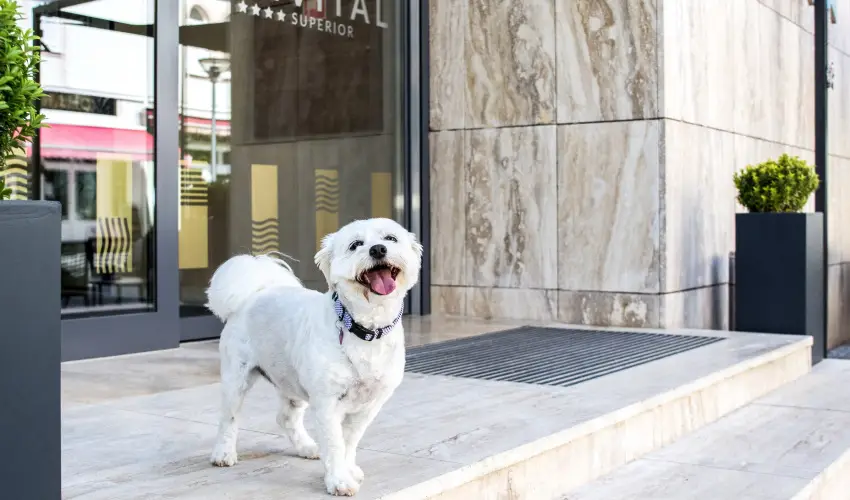 Bonvital Wellness & Gastro Hotel Hvz Hvz - Karcsony a Bonvitalban (min. 3 j)