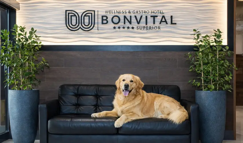 Bonvital Wellness & Gastro Hotel H�v�z H�v�z - Kar�csony a Bonvitalban (min. 3 �j)