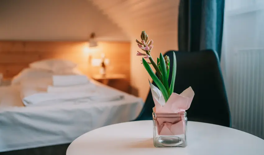 Borbarátok Panzió Badacsonytomaj - Karácsony (min. 2 éj)