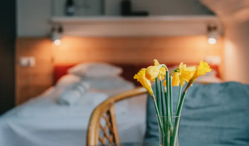 Borbarátok Panzió Badacsonytomaj - Karácsony (min. 2 éj)