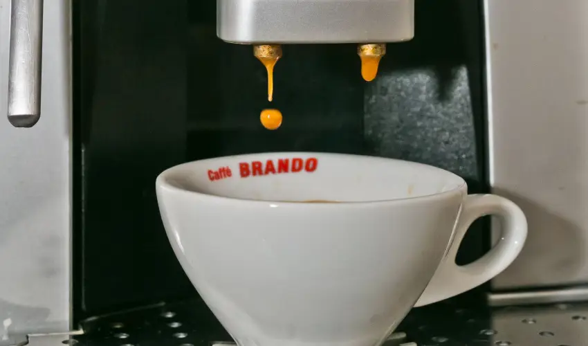 Borka Panzi Pardfrd - Karcsony