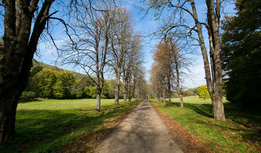 Borka Panzi Pardfrd - Karcsony