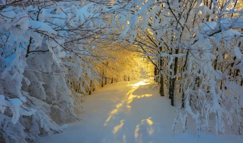 Borka Panzi Pardfrd - Karcsony