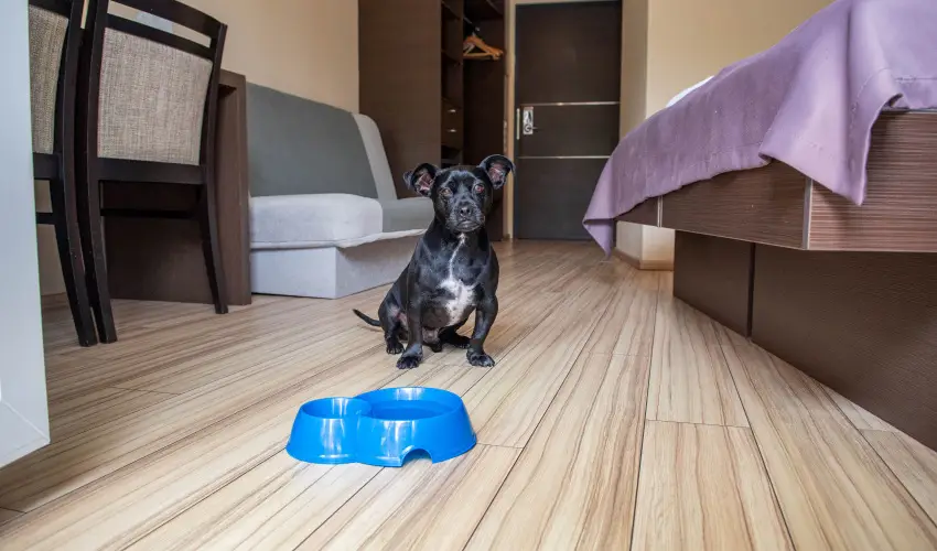 CE Plaza Hotel Sifok - Varzslatos karcsony s nnepek kztt (min. 2 j)