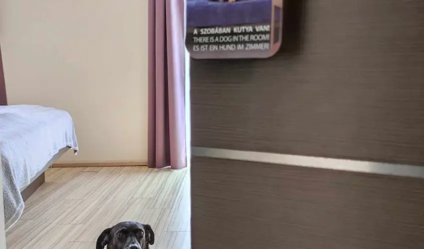 CE Plaza Hotel Sifok - Varzslatos karcsony s nnepek kztt (min. 2 j)