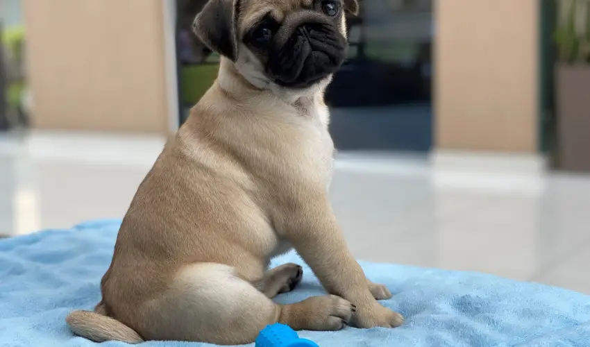 CE Plaza Hotel Sifok - Varzslatos karcsony s nnepek kztt (min. 2 j)