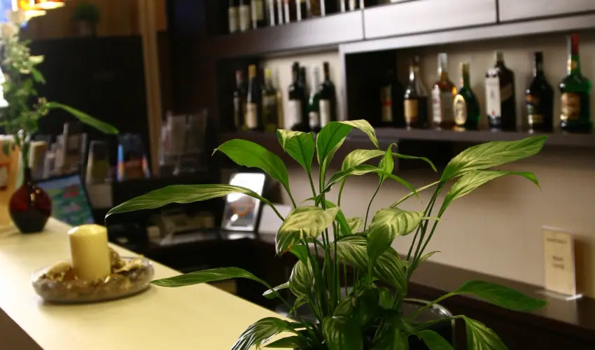 Central Hotel 21 Budapest - Karcsony