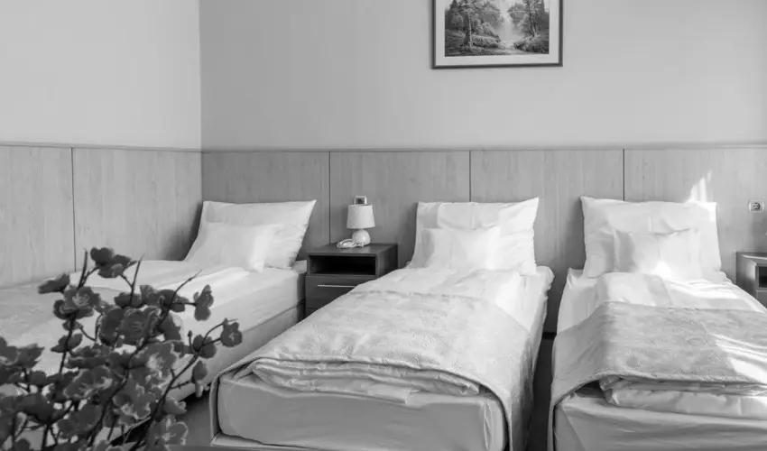 D-Hotel Gyula - Kar�csony