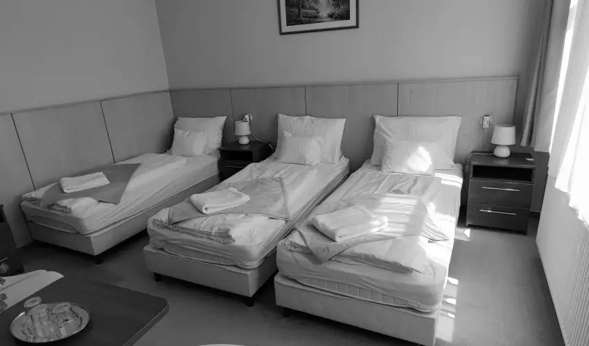 D-Hotel Gyula - Kar�csony
