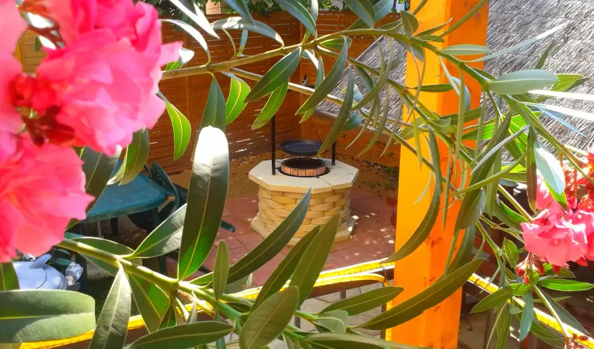 Dek Vendghz Hajdszoboszl - Karcsony (min. 2 j)