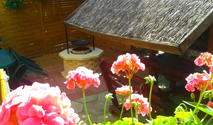 Dek Vendghz Hajdszoboszl - Karcsony (min. 2 j)