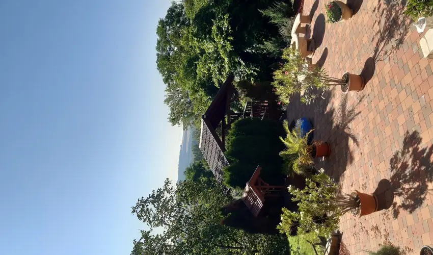 Difa Vendghz Kehidakustny - Karcsony (min. 2 j)