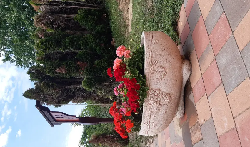 Difa Vendghz Kehidakustny - Karcsony (min. 2 j)