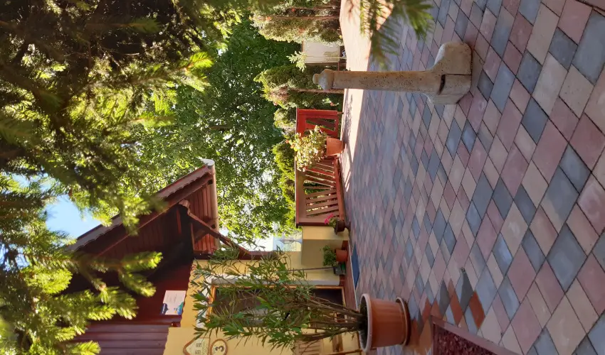 Difa Vendghz Kehidakustny - Karcsony (min. 2 j)