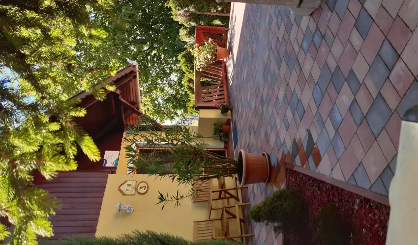 Difa Vendghz Kehidakustny - Karcsony (min. 2 j)