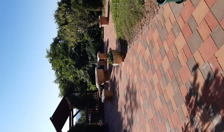 Difa Vendghz Kehidakustny - Karcsony (min. 2 j)