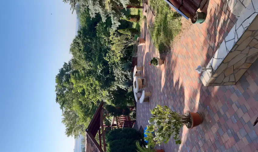 Difa Vendghz Kehidakustny - Karcsony (min. 2 j)