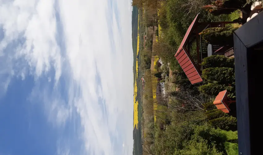 Difa Vendghz Kehidakustny - Karcsony (min. 2 j)