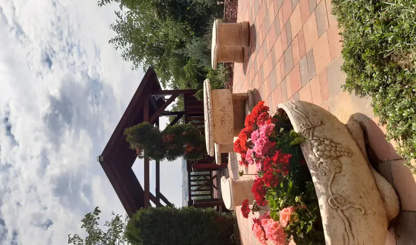 Difa Vendghz Kehidakustny - Karcsony (min. 2 j)