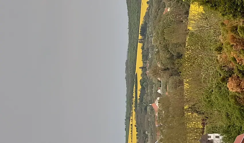 Difa Vendghz Kehidakustny - Karcsony (min. 2 j)