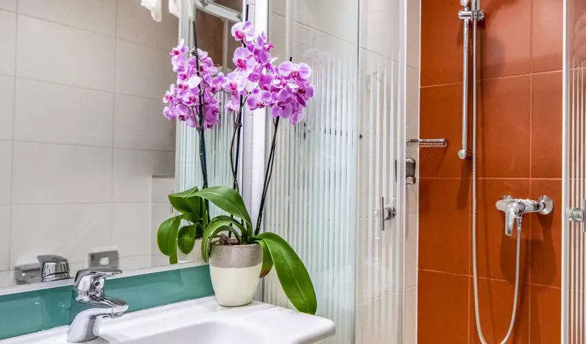 Dráva Hotel Thermal Resort Harkány - Karácsony (min. 3 éj)