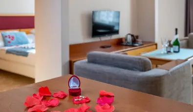 Drva Hotel Thermal Resort Harkny