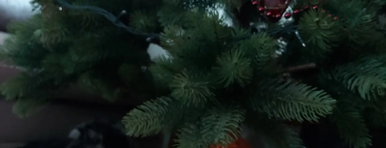 Dream Horse Apartman Cserkeszl - Karcsony (min. 3 j)