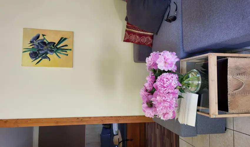 Dream Horse Apartman Cserkeszl - Karcsony (min. 2 j)