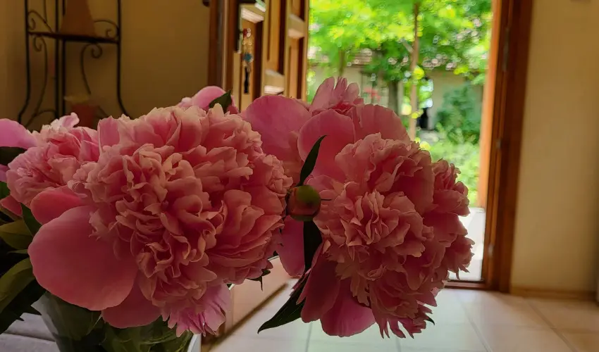 Dream Horse Apartman Cserkeszl - Karcsony (min. 2 j)