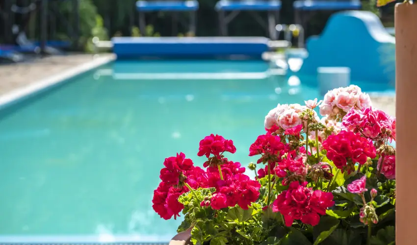 Duna Relax Hotel R�ckeve - Kar�csony