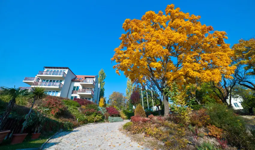 Echo Residence All Suite Hotel Tihany - Karcsony (min. 2 j)