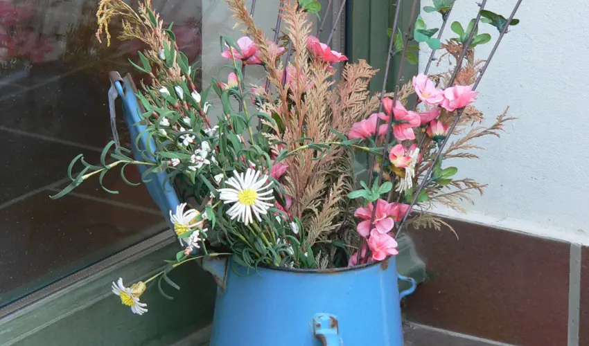 Edvy Malom Fogadó és Barokk Udvarház Pápa - Karácsony (min. 2 éj)