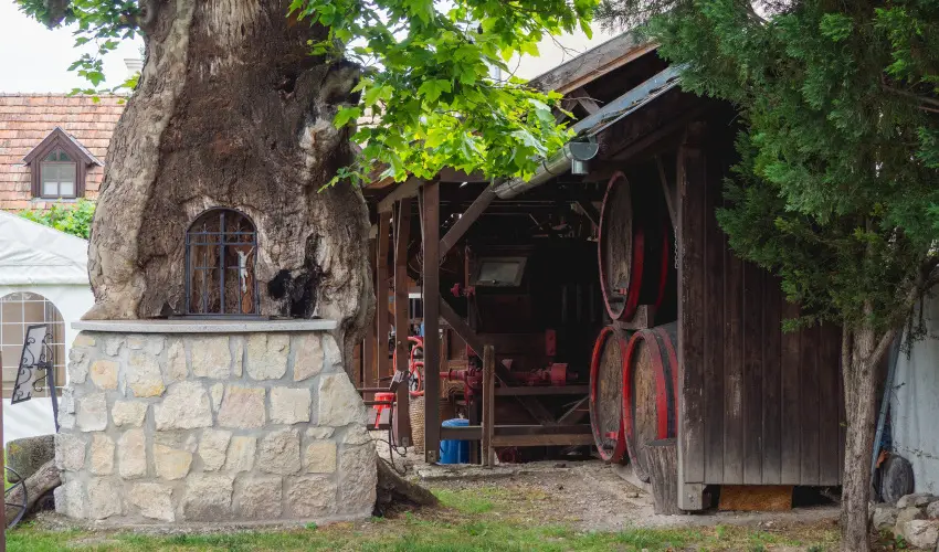 Edvy Malom Fogadó és Barokk Udvarház Pápa - Karácsony (min. 2 éj)