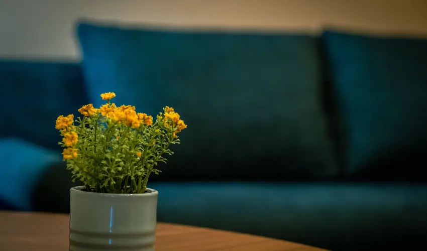 Eleven Business & Sport Hotel Jászárokszállás - Karácsony