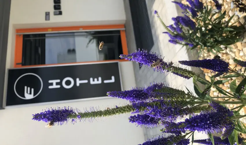 Eleven Business & Sport Hotel Jászárokszállás - Karácsony