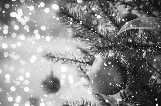 Elix�r Medical Wellness Hotel - Kar�csony