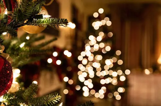 Elizabeth Hotel - Angyali karcsony (min. 2 j)