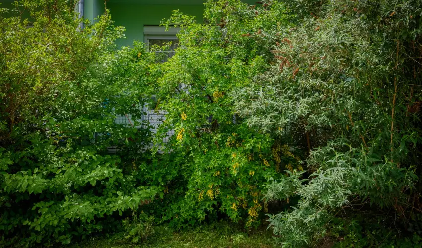 Erika Apartman Srvr - Karcsony (min. 2 j)