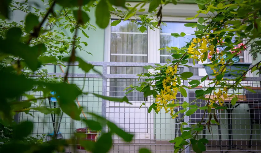 Erika Apartman Srvr - Karcsony (min. 2 j)