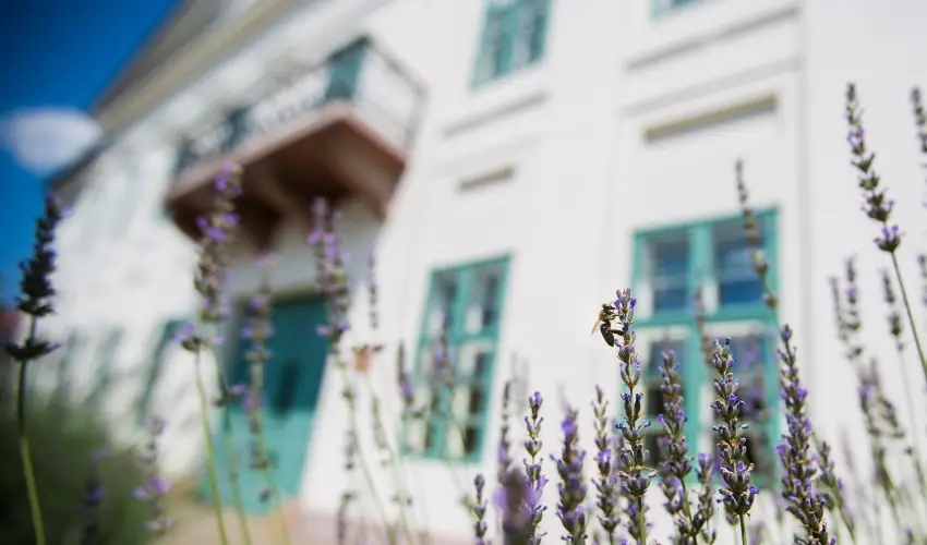 Erzsbet Nagy Szlloda Paks - Karcsonyi csomagajnlat (min. 2 j)