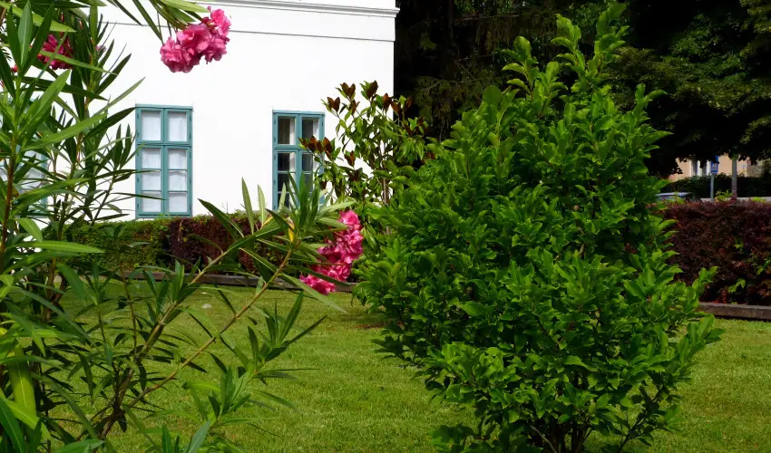 Erzsbet Nagy Szlloda Paks - Karcsonyi csomagajnlat (min. 2 j)