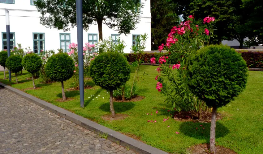 Erzsbet Nagy Szlloda Paks - Karcsonyi csomagajnlat (min. 2 j)