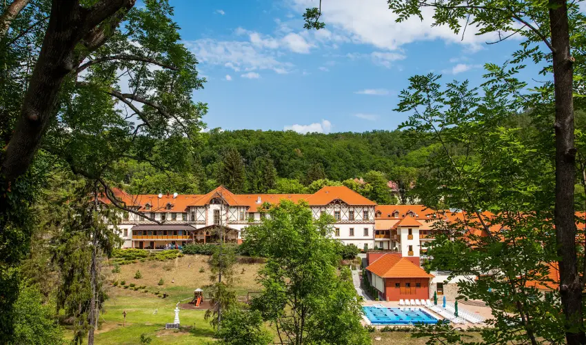Erzsbet Park Hotel Pardfrd - Karcsony (min. 3 j)