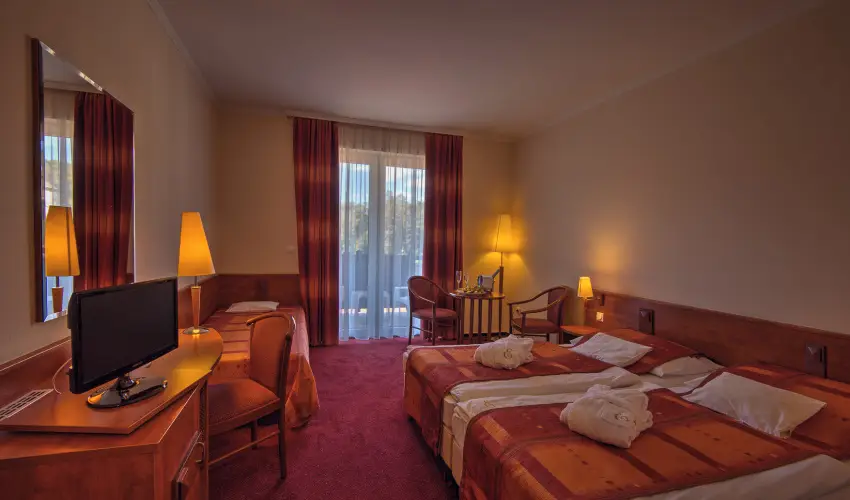 Erzsbet Park Hotel Pardfrd - Karcsony (min. 3 j)
