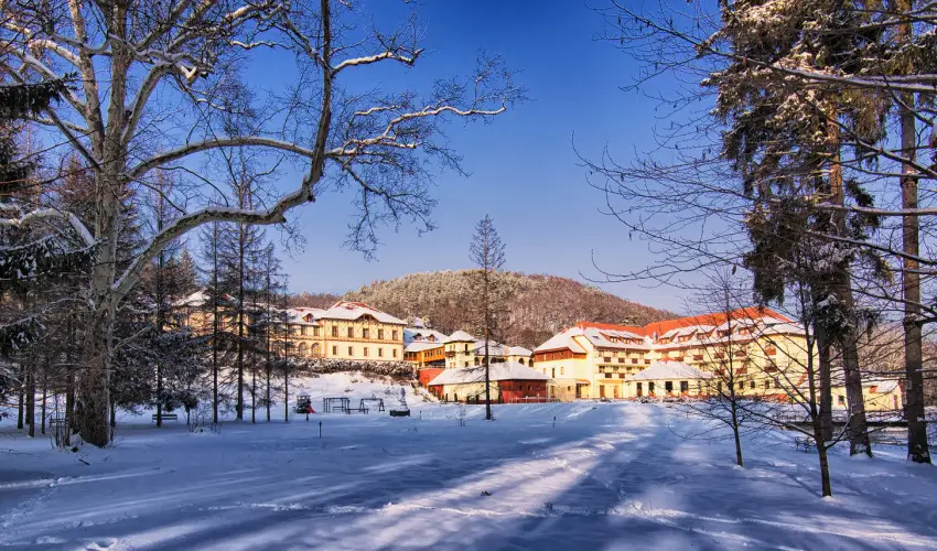 Erzsbet Park Hotel Pardfrd - Karcsony (min. 3 j)