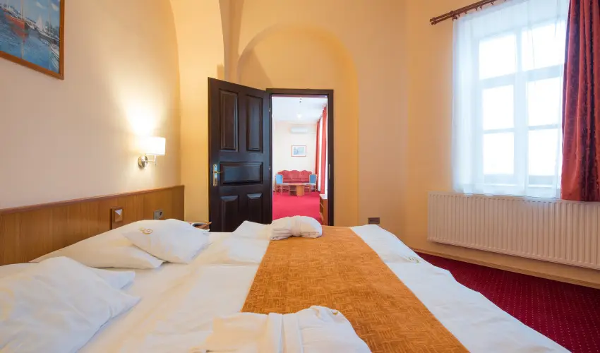 Erzsbet Park Hotel Pardfrd - Karcsony (min. 3 j)