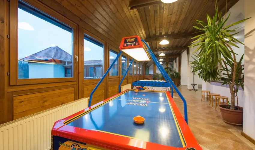 Erzsbet Park Hotel Pardfrd - Karcsony (min. 3 j)