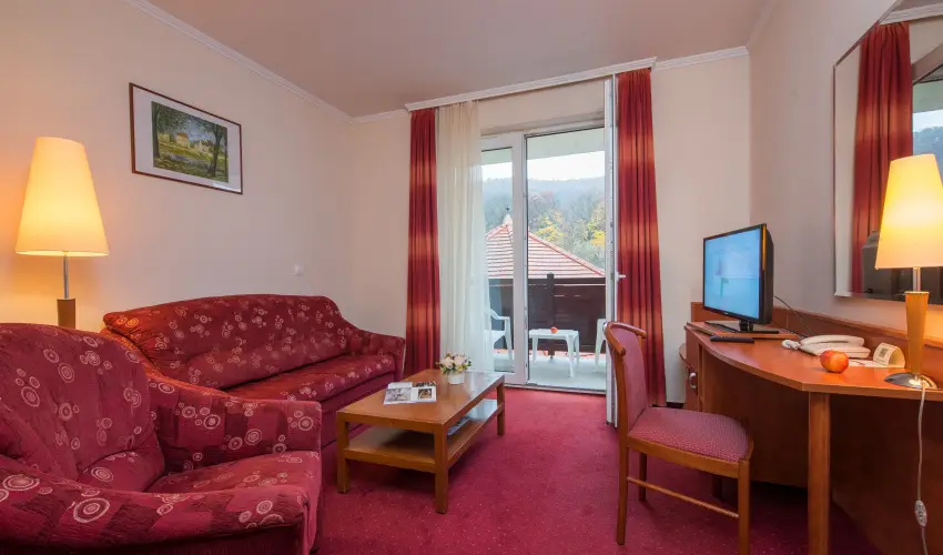 Erzsbet Park Hotel Pardfrd - Karcsony (min. 3 j)